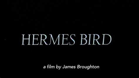 hermes bird full movie|Hermes Bird (1979) Stream and Watch Online .